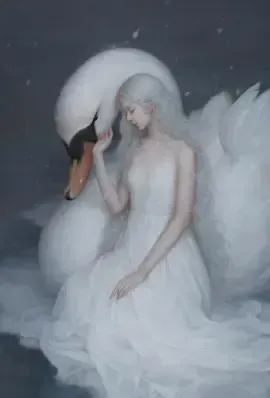 夜晚实录