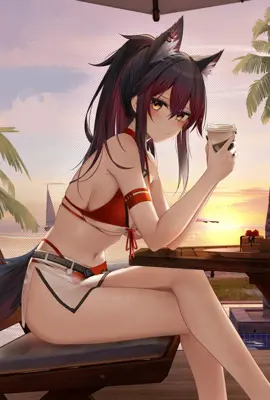 诡异的猫