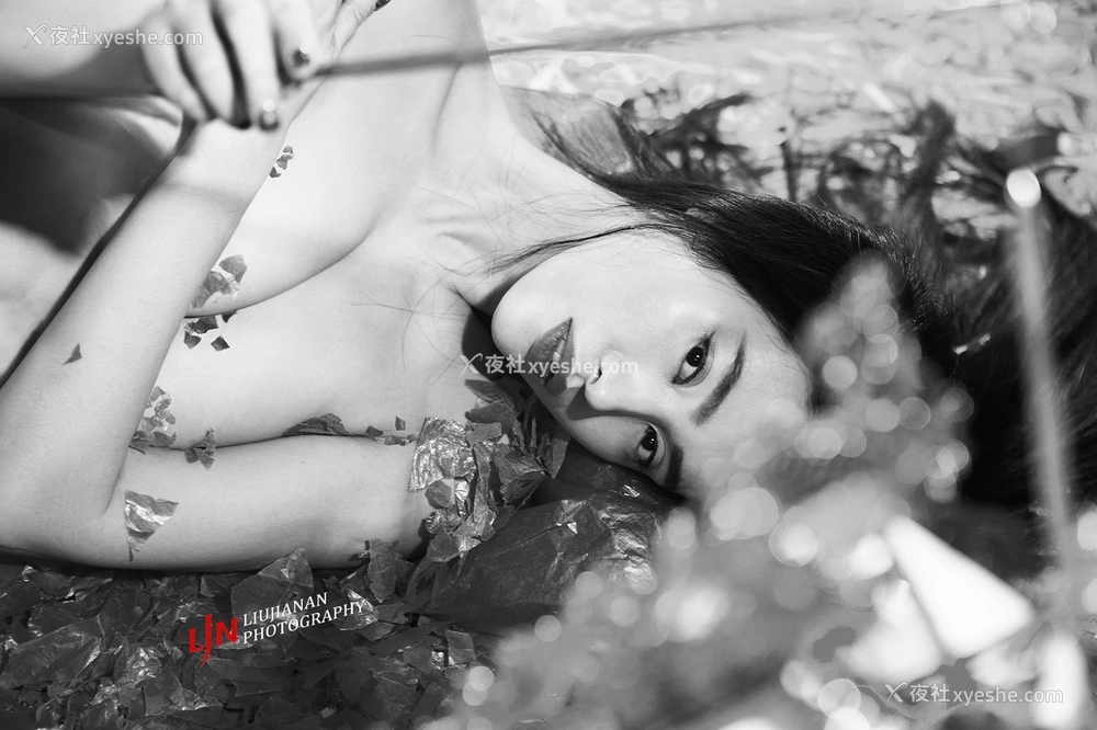 1P - 摄影师刘嘉摄影作品《乌性大片》