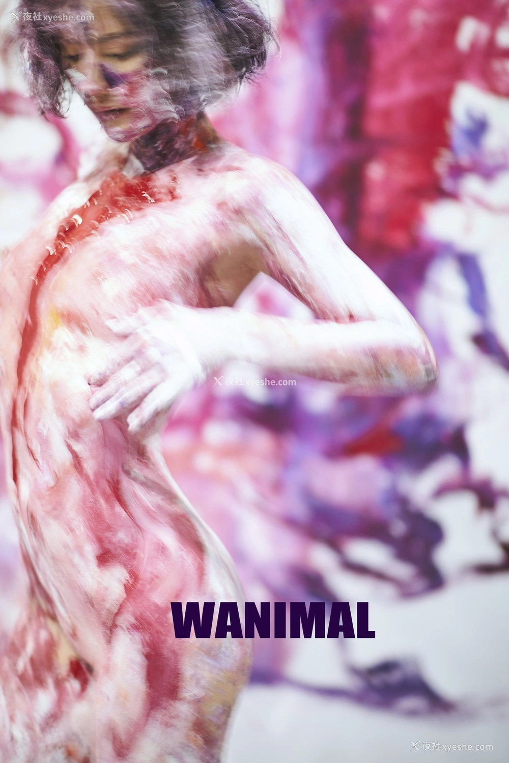 1P - 王动]WANIMAL Tumblr写真收集
