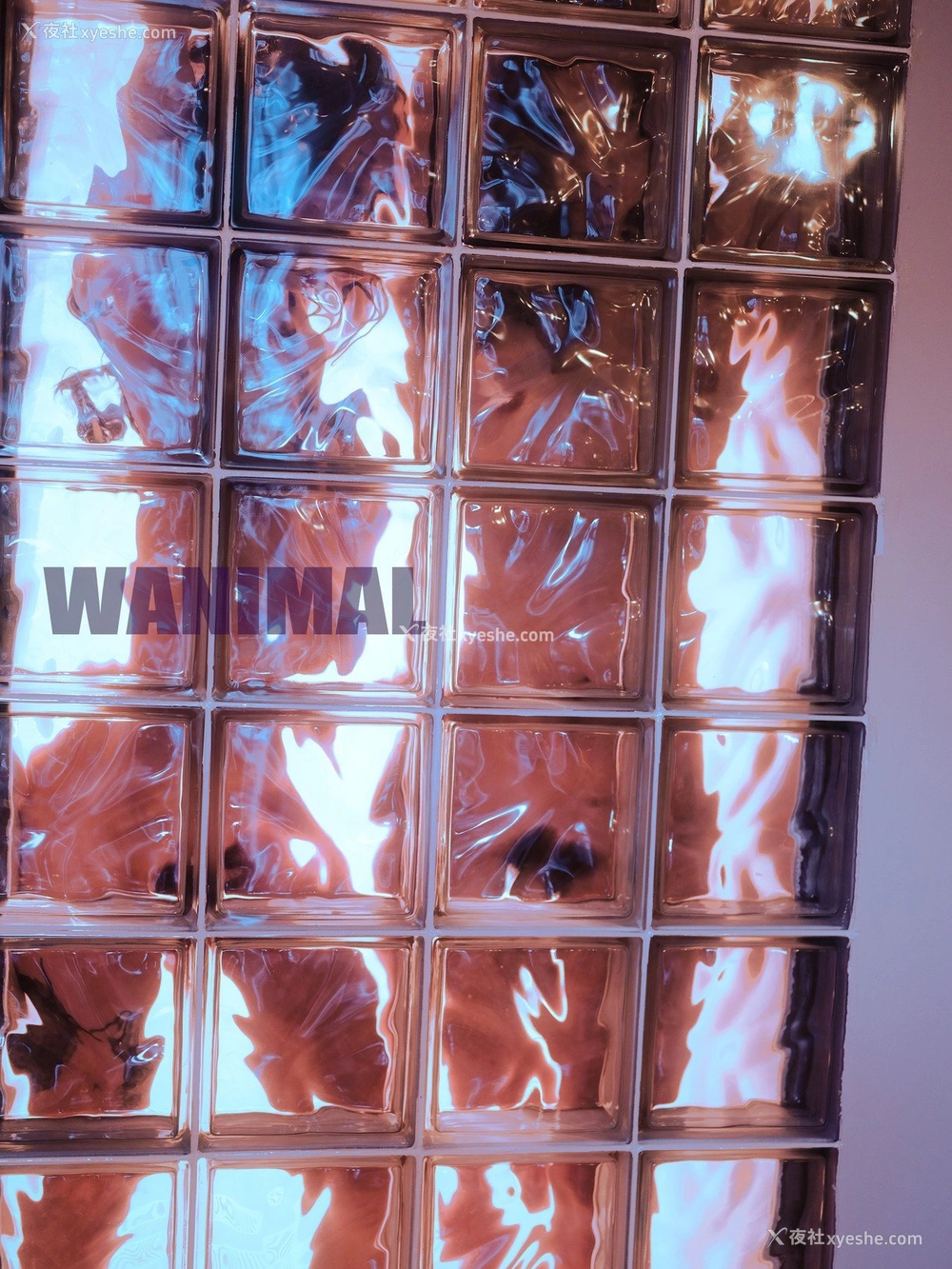 1P - 王动]WANIMAL Tumblr写真收集
