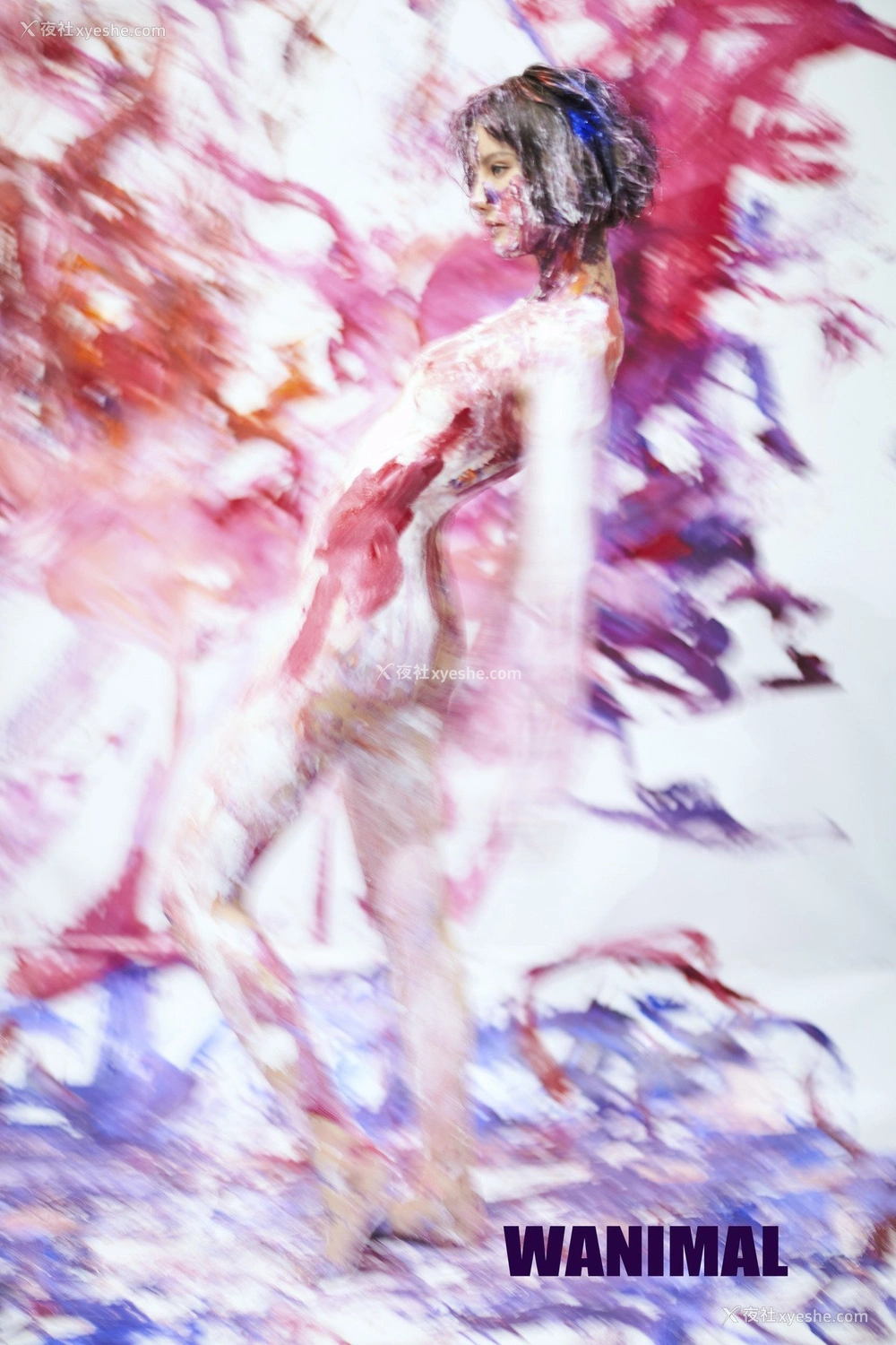 1P - 王动]WANIMAL Tumblr写真收集