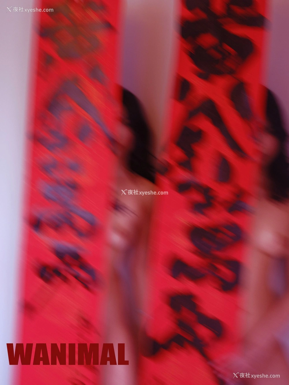 1P - 王动]WANIMAL Tumblr写真收集