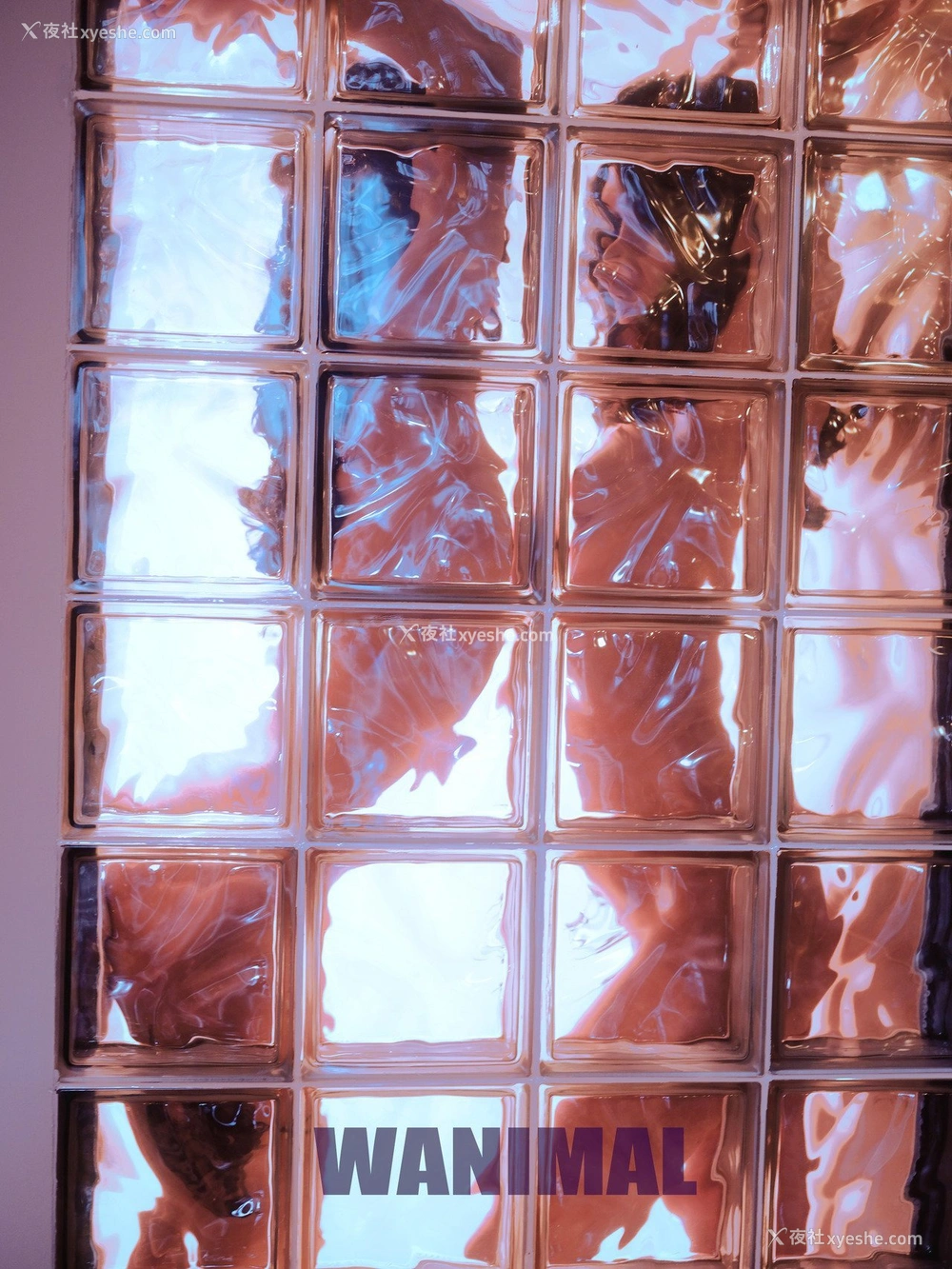 1P - 王动]WANIMAL Tumblr写真收集