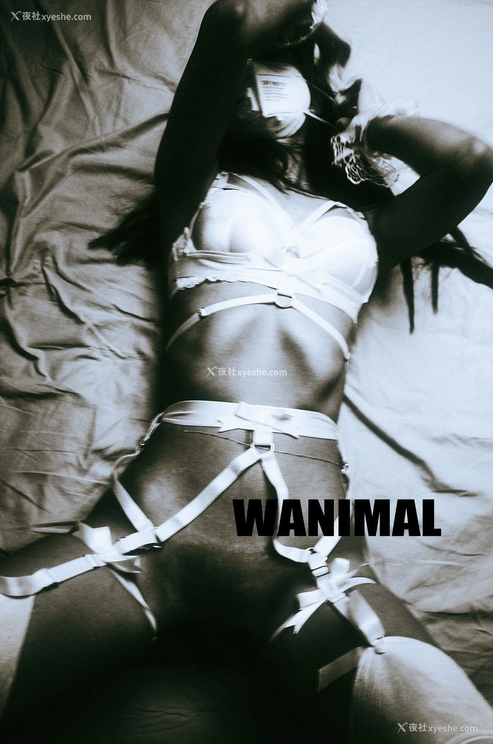 1P - 王动]WANIMAL Tumblr写真收集