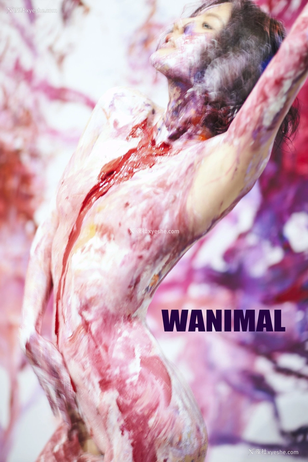 1P - 王动]WANIMAL Tumblr写真收集