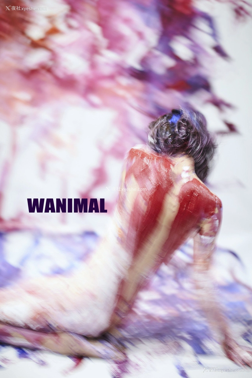 1P - 王动]WANIMAL Tumblr写真收集