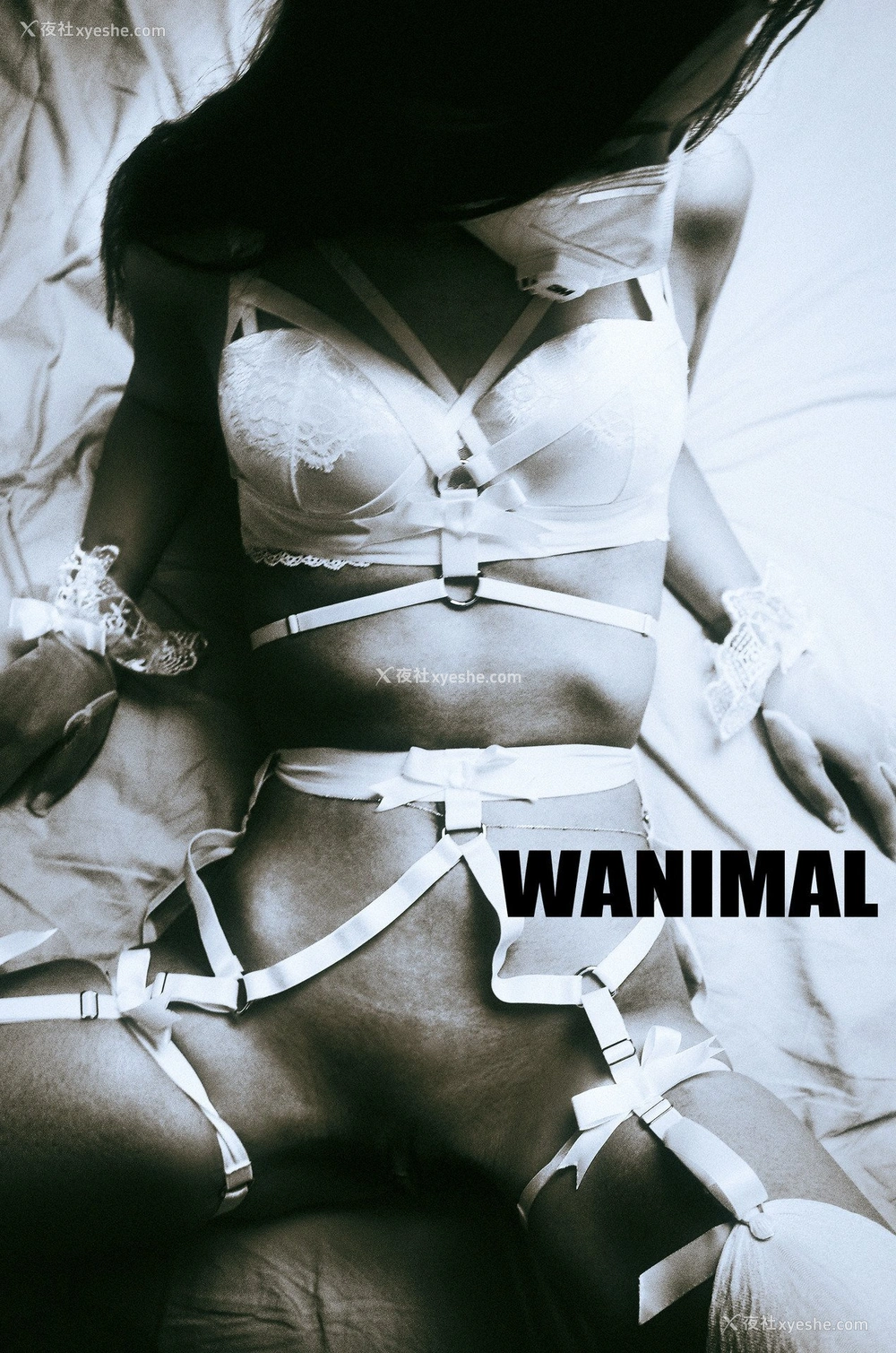 1P - 王动]WANIMAL Tumblr写真收集