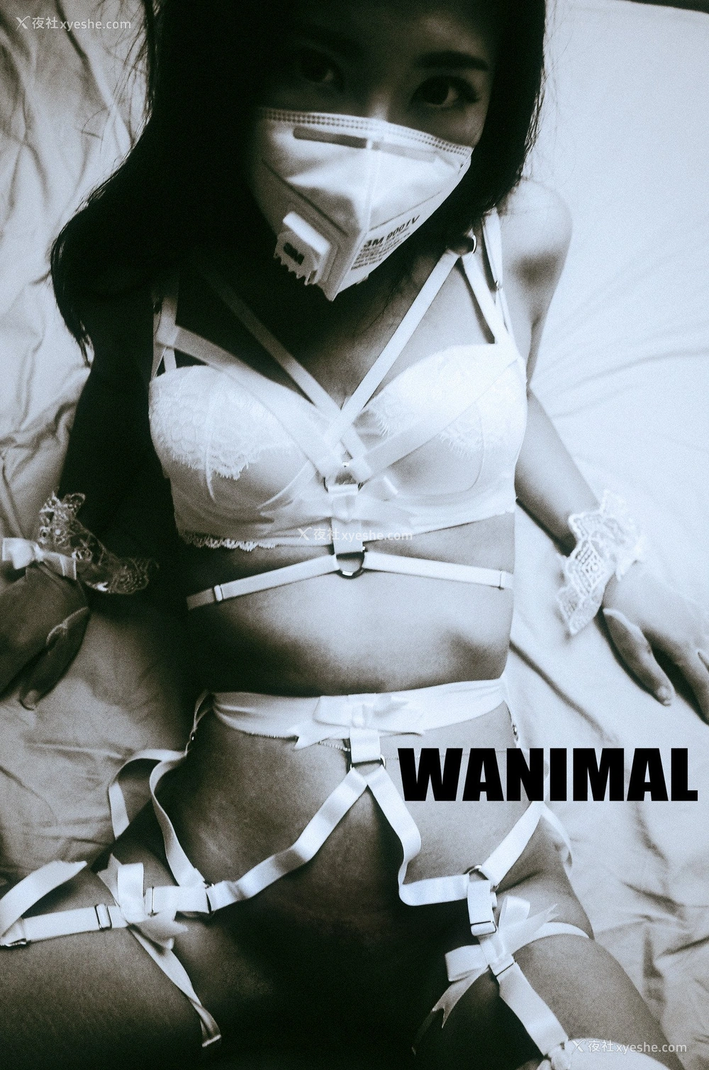 1P - 王动]WANIMAL Tumblr写真收集