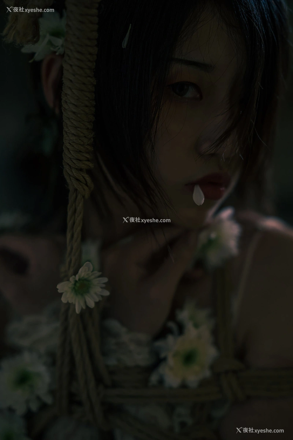 1P - 奶桃《花与绳》