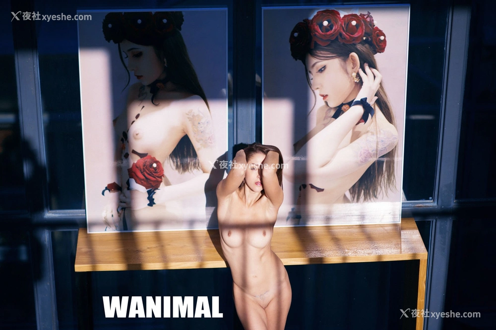 1P - 王动出品：VIP套图 第23期