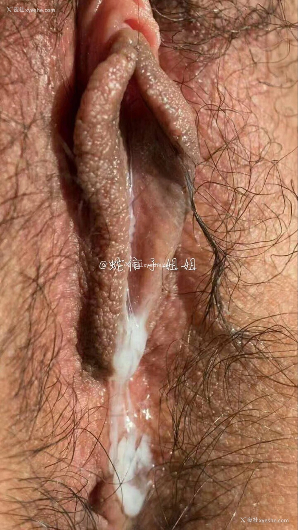 1P - 【网路收集】蛇信子姐姐 推特合集