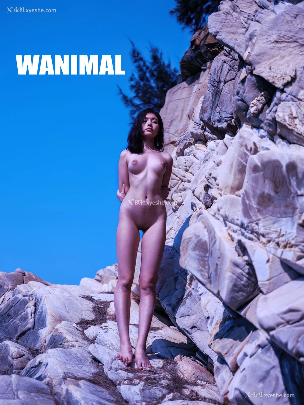1P - 王动出品：VIP套图 第22期