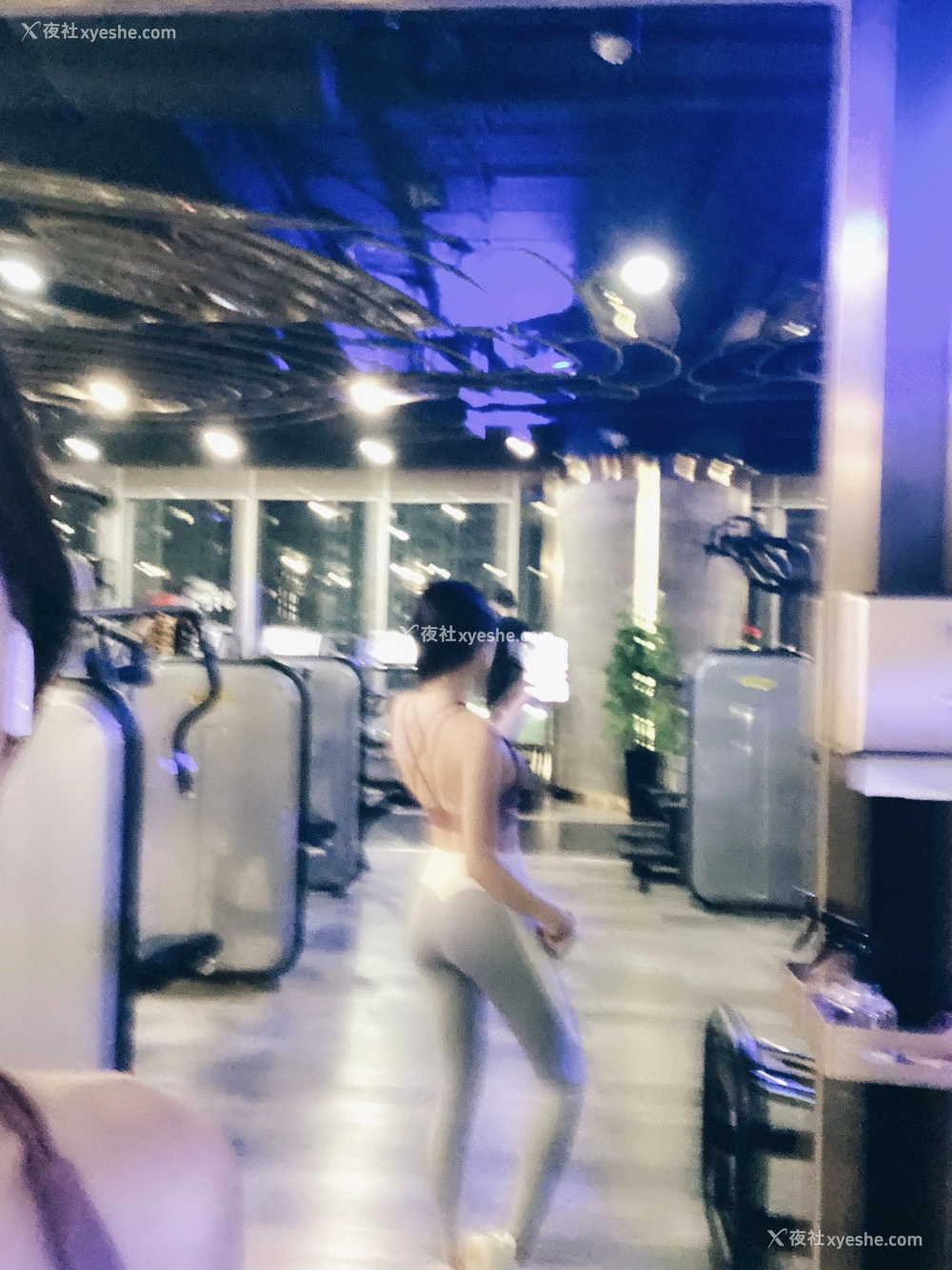1P - 【网络收集】芝芝Booty福利图集
