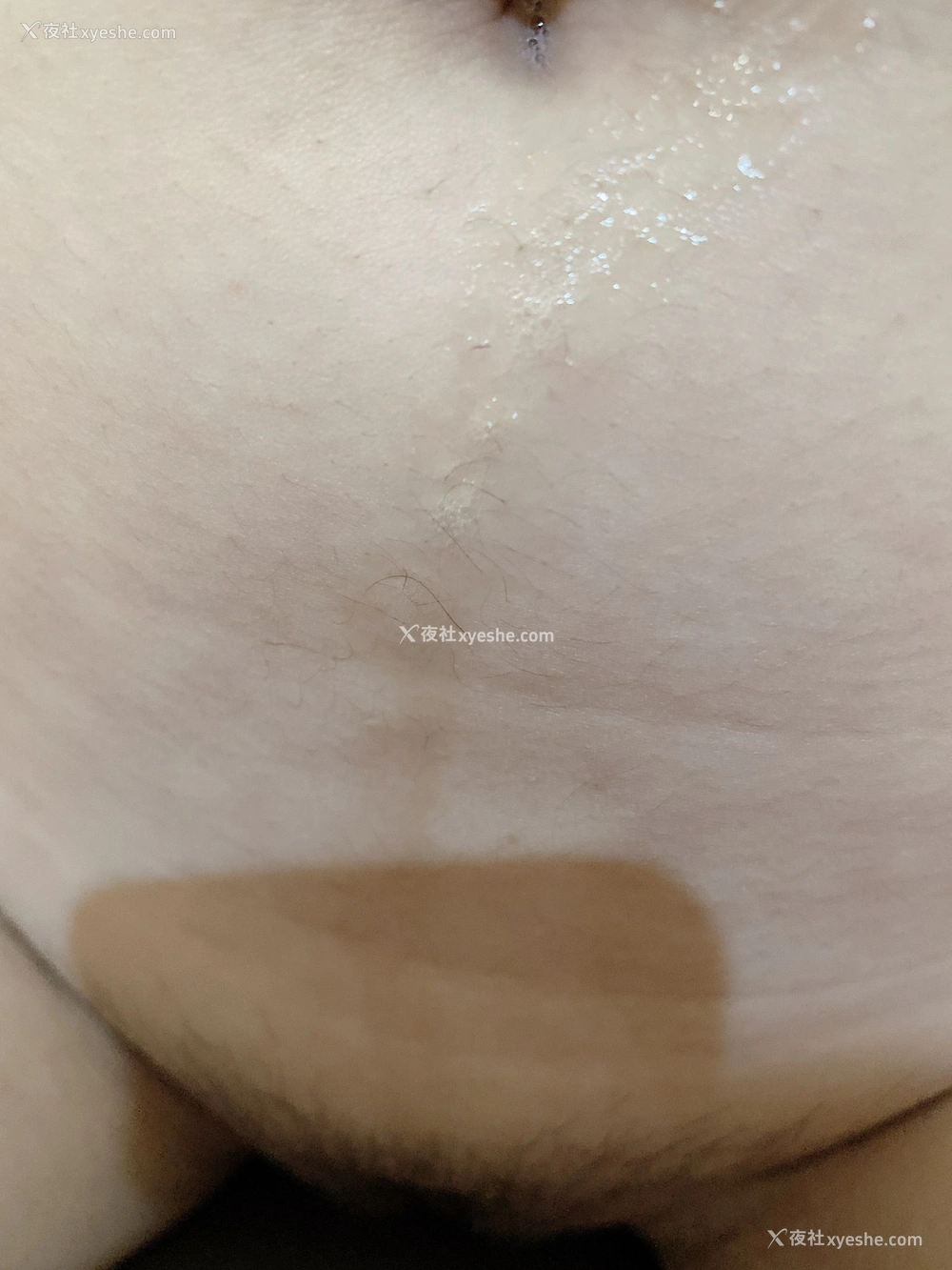 1P - 【网络收集】芝芝Booty福利图集