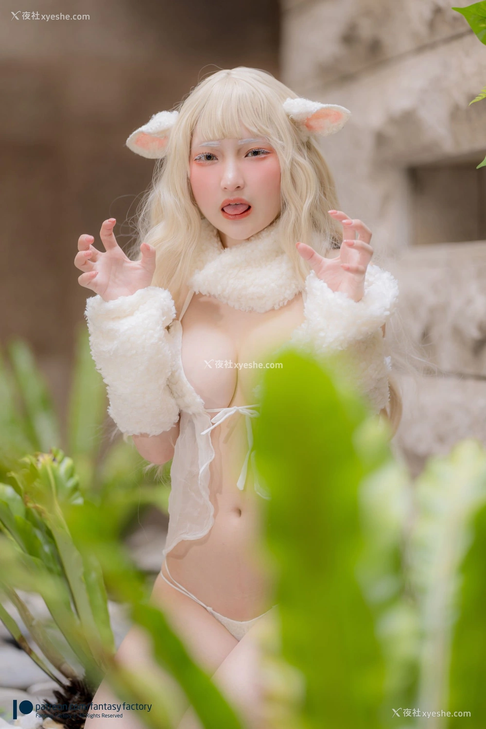 1P - 小丁Ding《sheep》