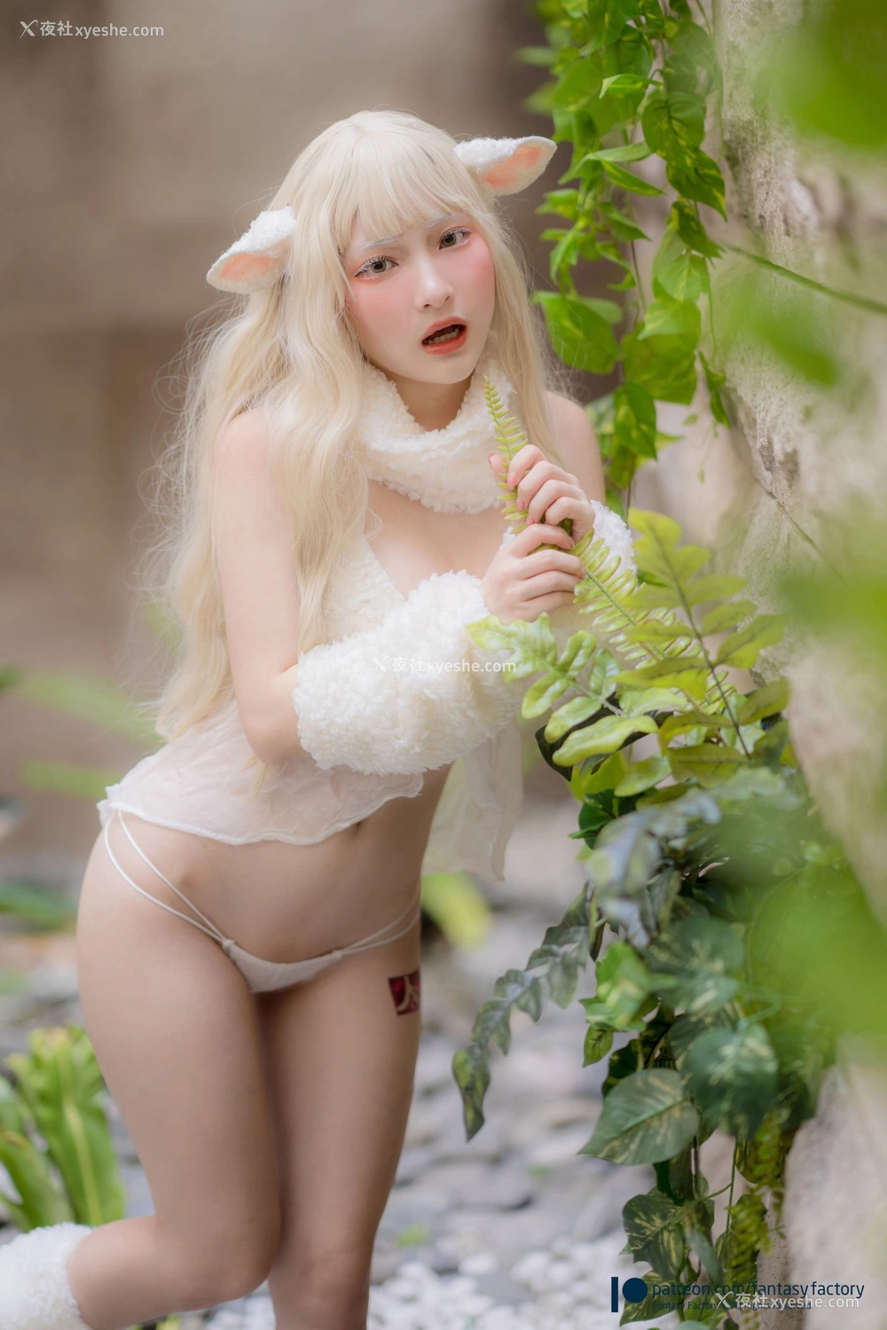 1P - 小丁Ding《sheep》