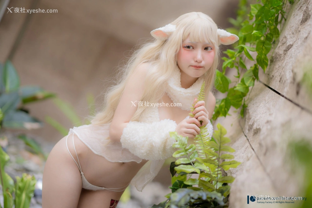 1P - 小丁Ding《sheep》