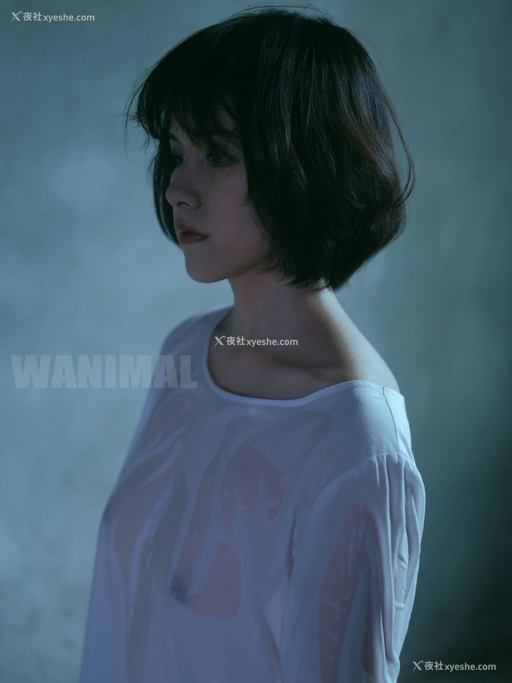 1P - 王动出品：VIP套图 第24期