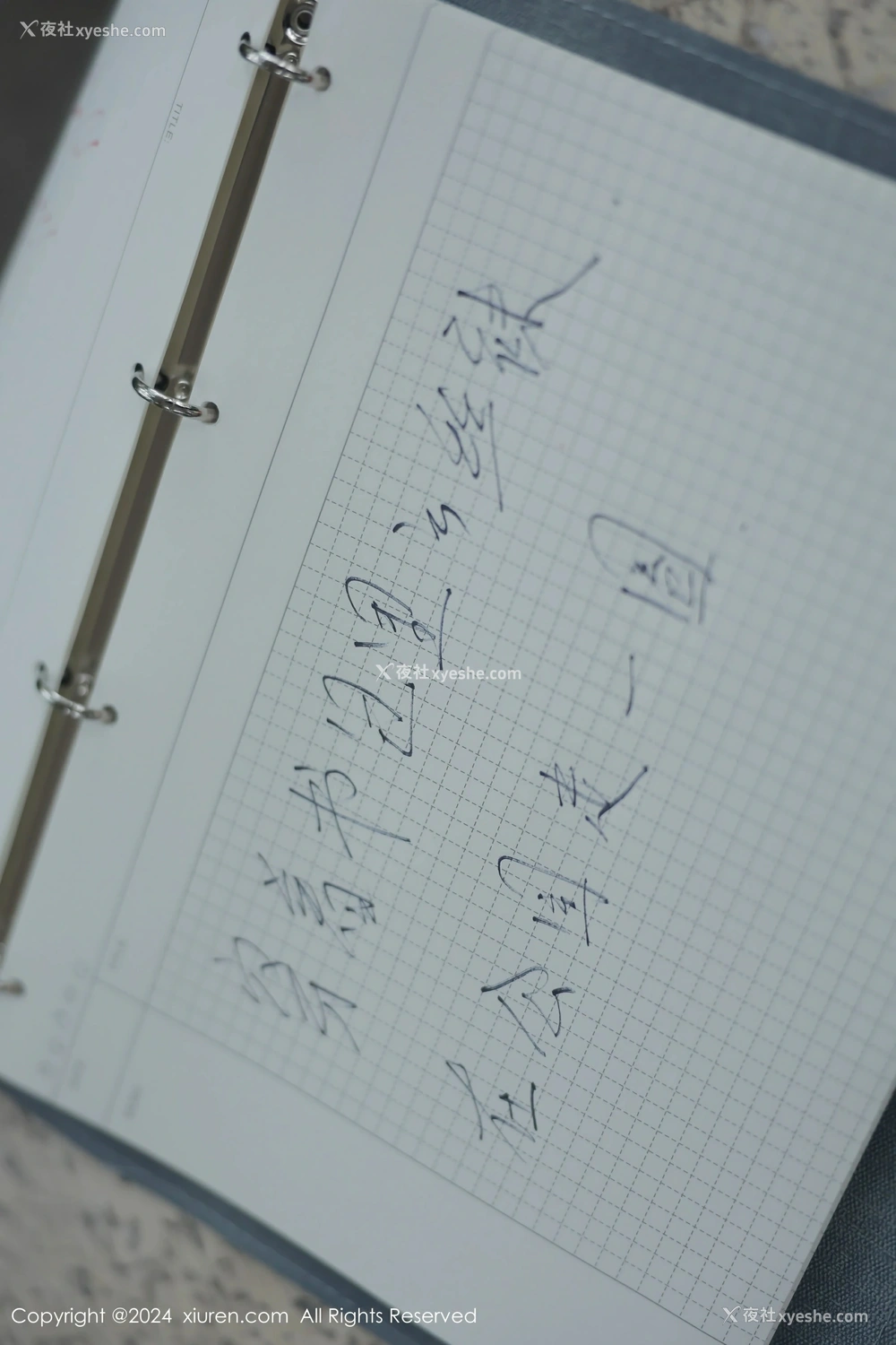 1P - [XiuRen秀人网] No.8335 小薯条nienie