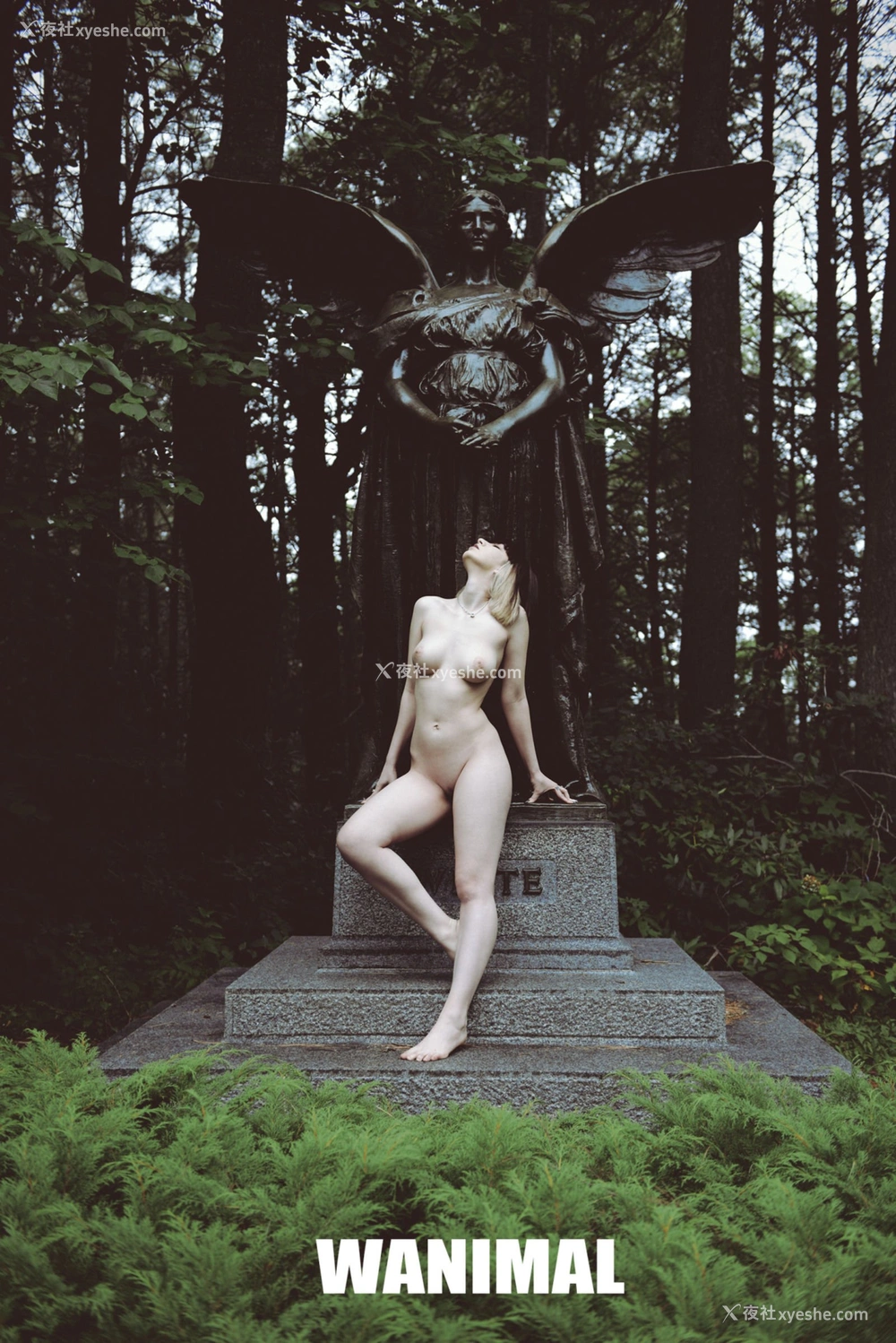 1P - 2015年作品集