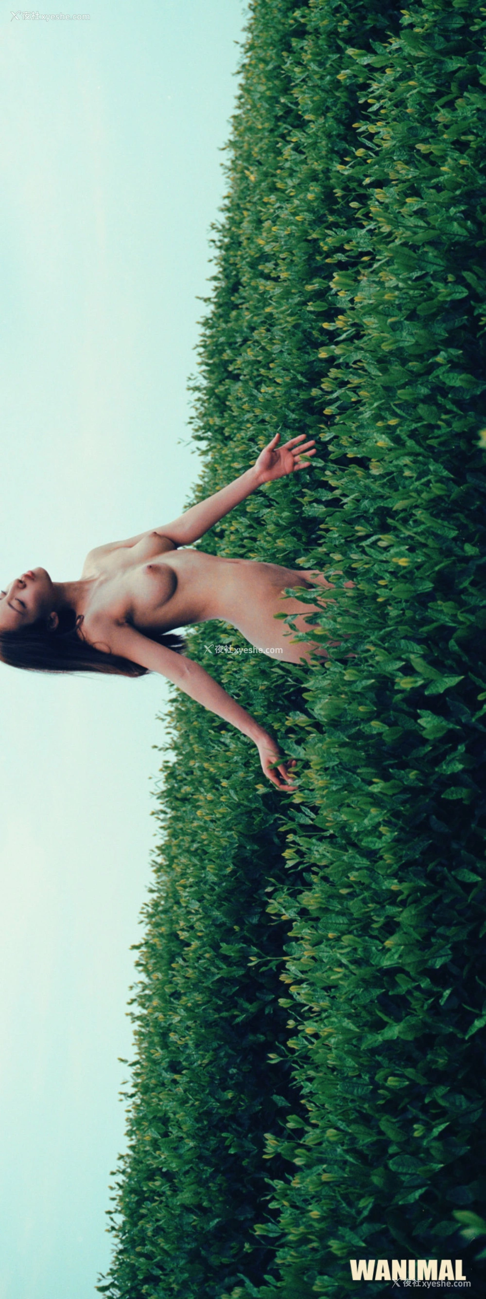 1P - 2015年作品集