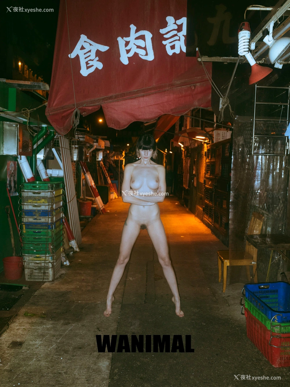 1P - 2017年作品集（下）