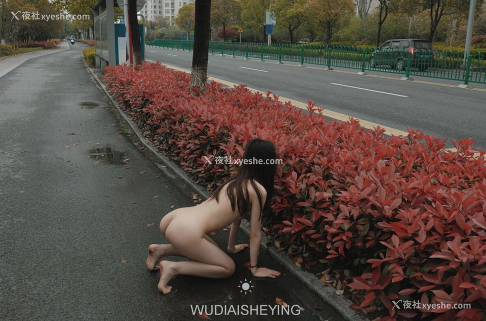 1P - 摄影师无敌爱摄影人体私拍合集（十叁）