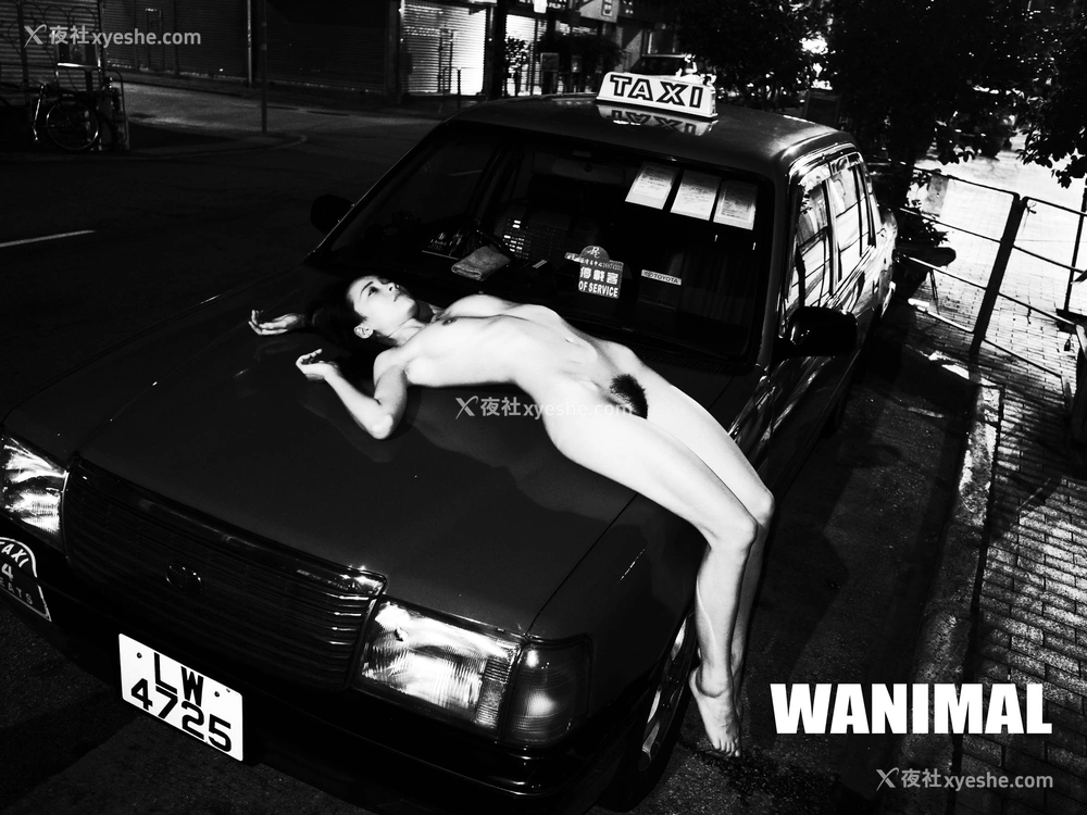 1P - 官方出品 VIP 套图