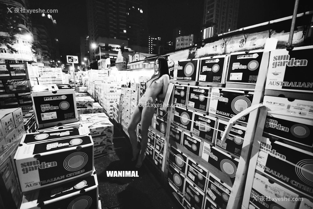 1P - 官方出品 VIP 套图