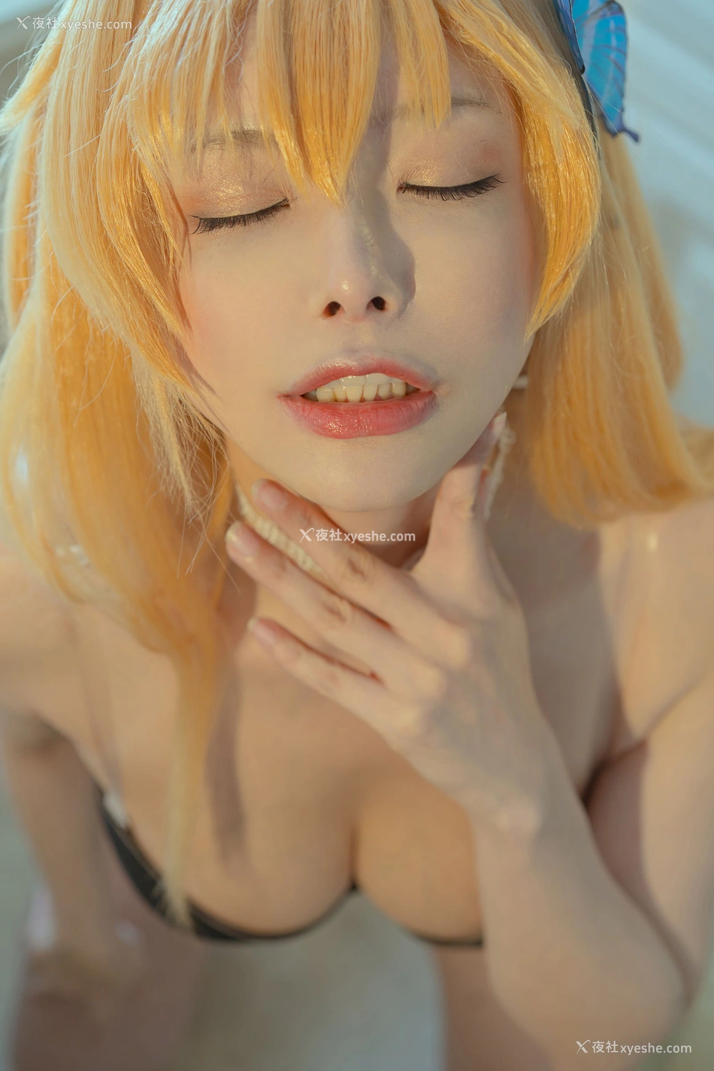 1P - 秋和柯基《星奈29》