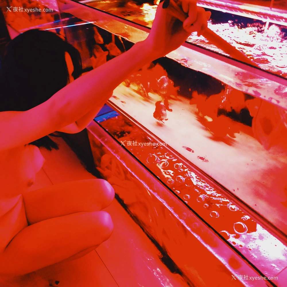 1P - 2019年作品集