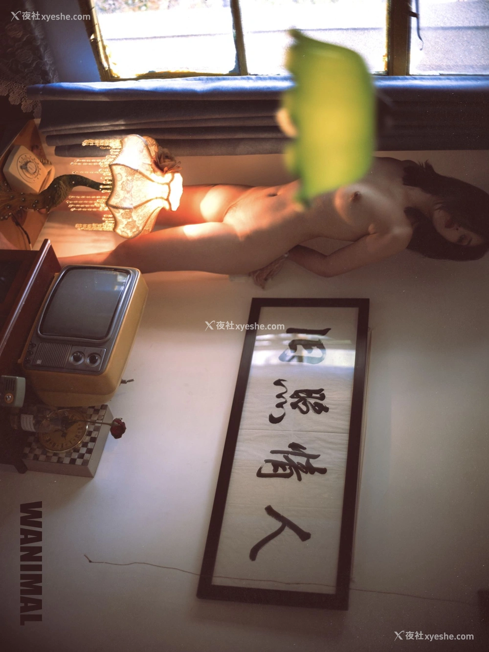 1P - 2019年作品集