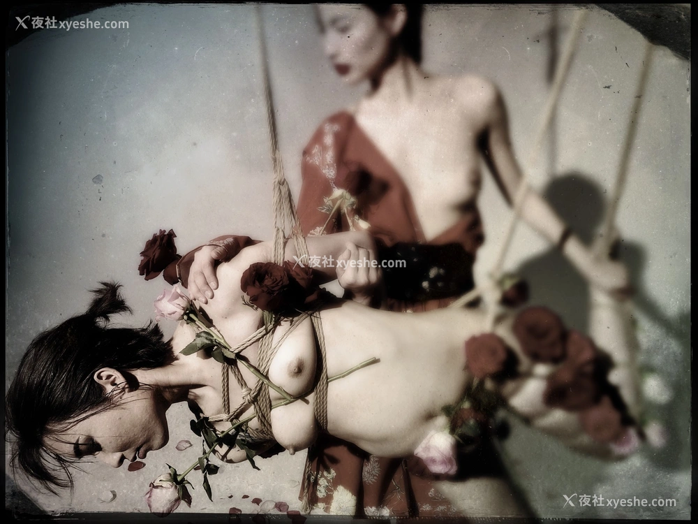 1P - 2019年作品集