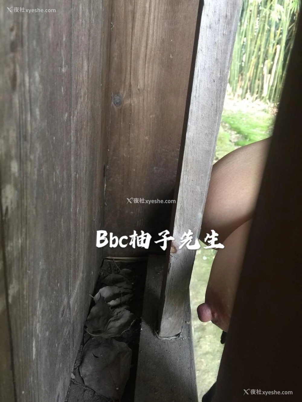 1P - 【网络收集】推特色影大神 Bbc柚子先生 大尺度私拍合集