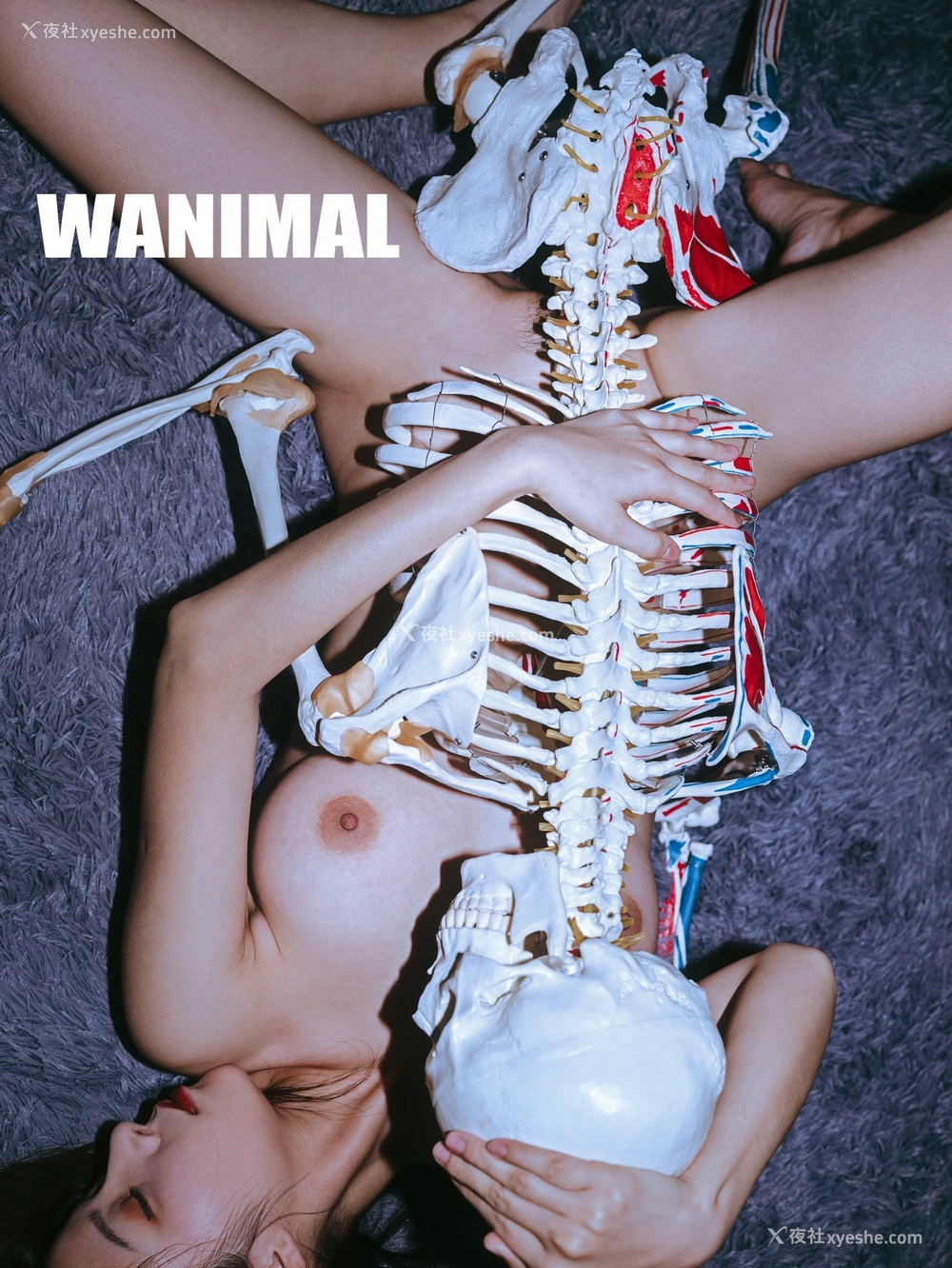 1P - Tumblr 选集