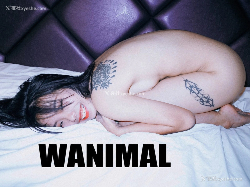 1P - Tumblr 选集
