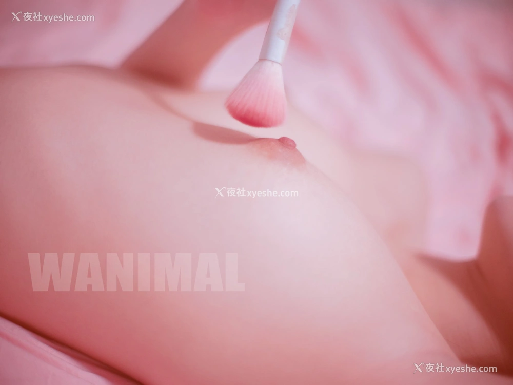 1P - Tumblr 选集
