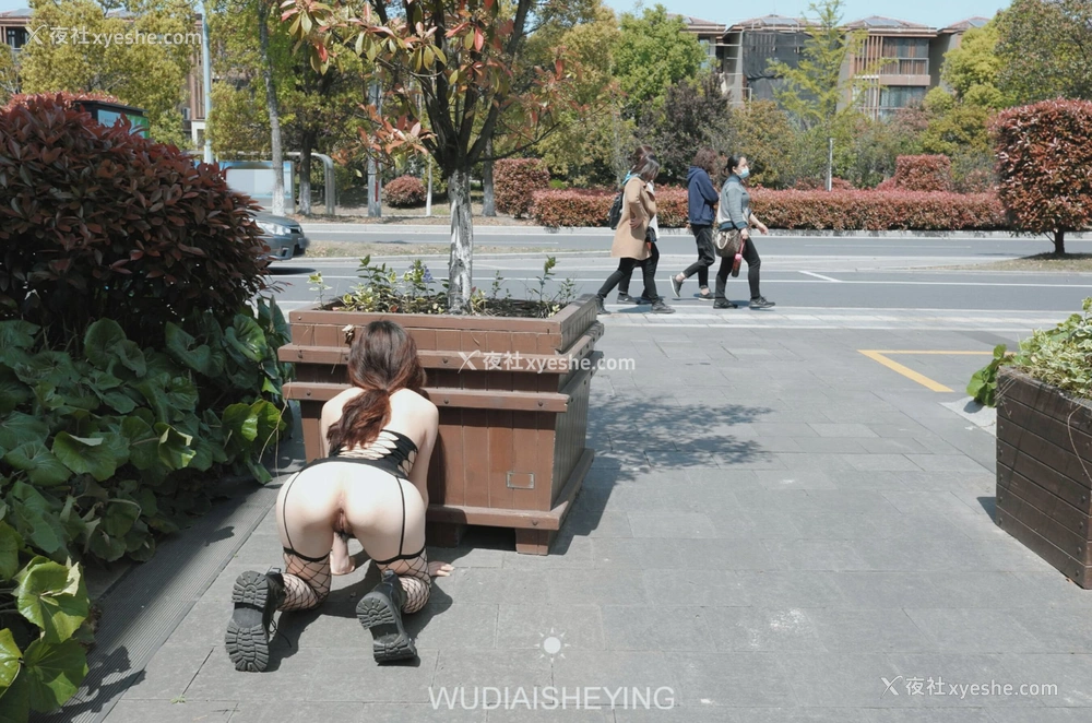 1P - 摄影师无敌爱摄影人体私拍合集（十五）