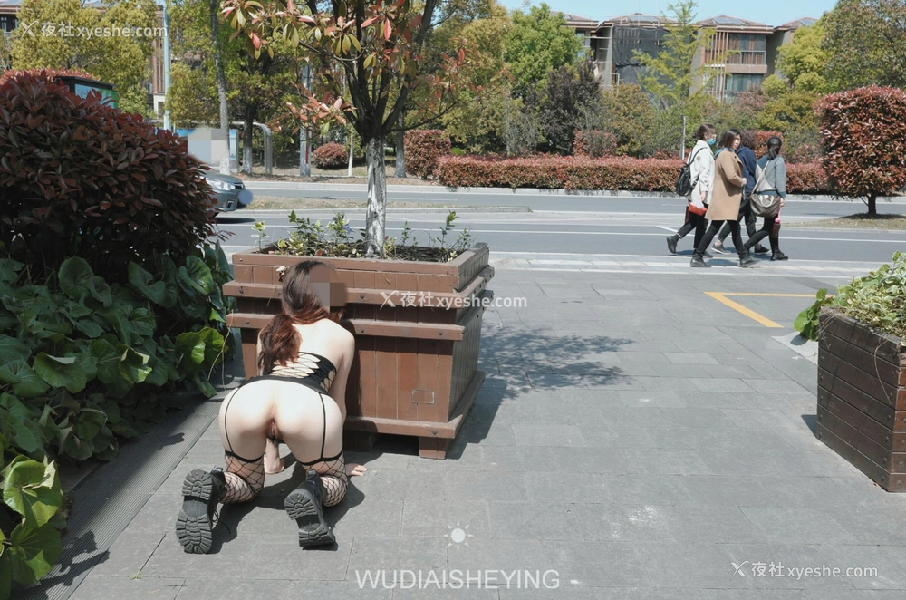 1P - 摄影师无敌爱摄影人体私拍合集（十五）