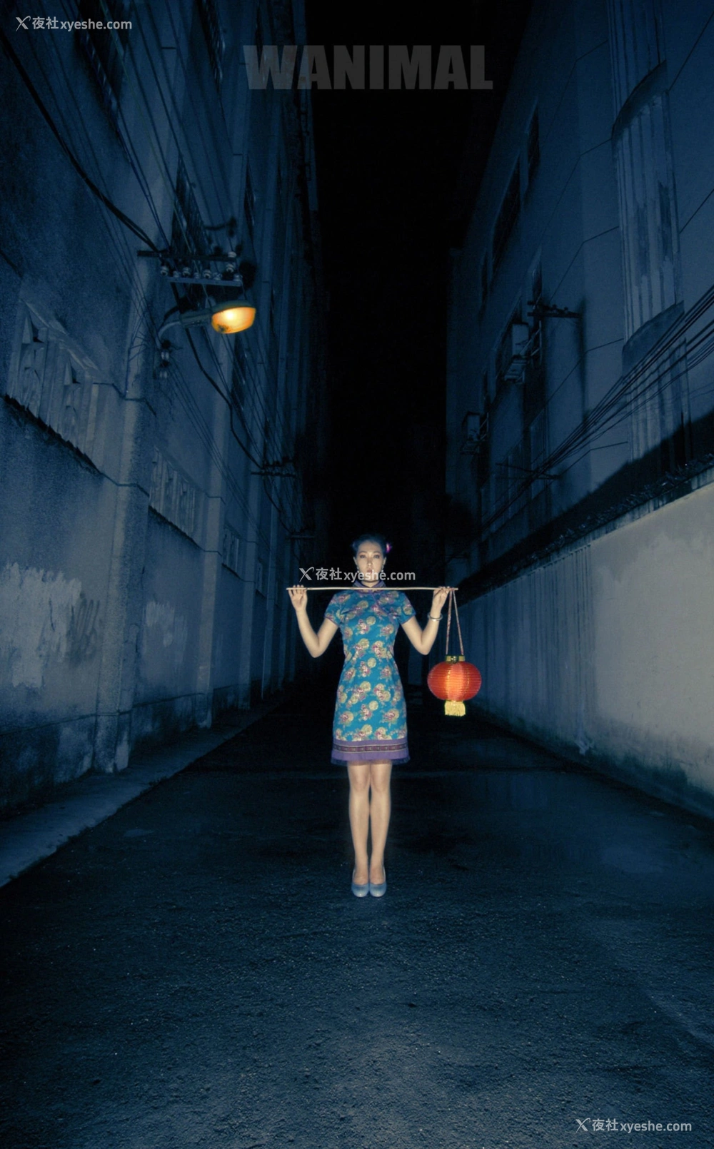 1P - 2014年作品集