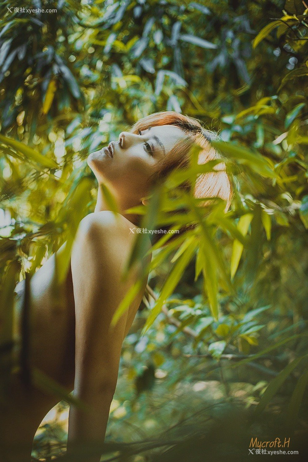 1P - 就是阿朱啊 Tumblr 收集
