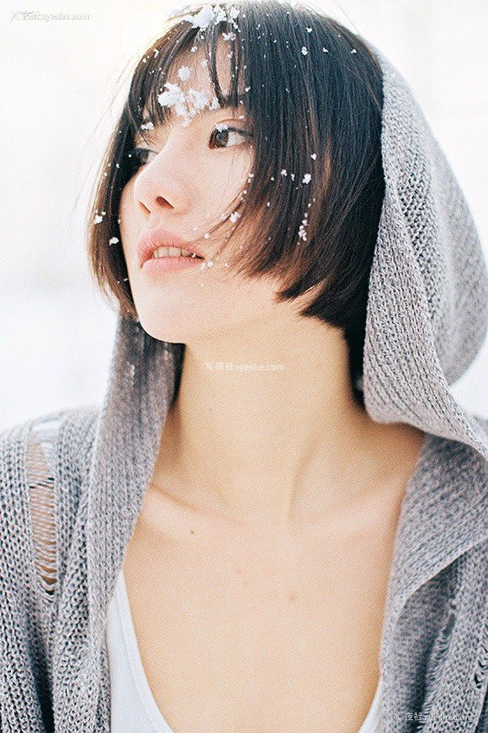 1P - 就是阿朱啊 Tumblr 收集