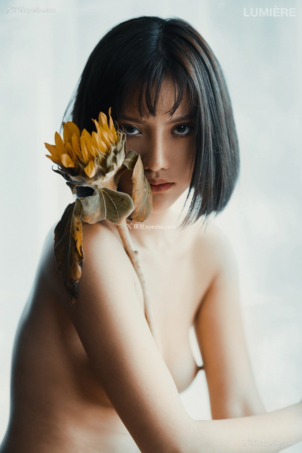 1P - 就是阿朱啊 Tumblr 收集