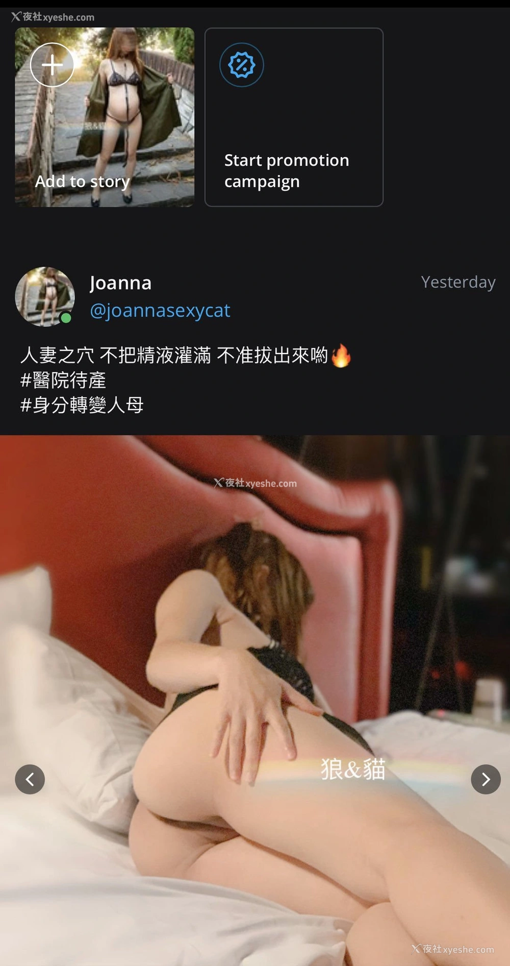 1P - 【网络收集】推特大神 Joanna 狼&猫双飞露出孕妇