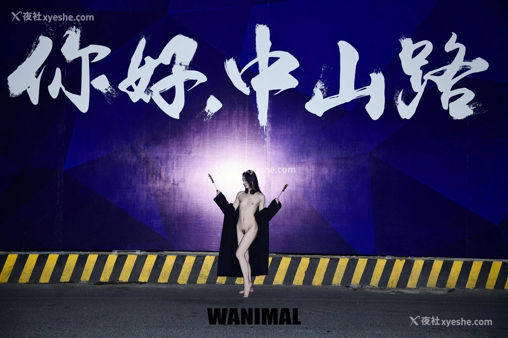 1P - 2017年作品集（上）