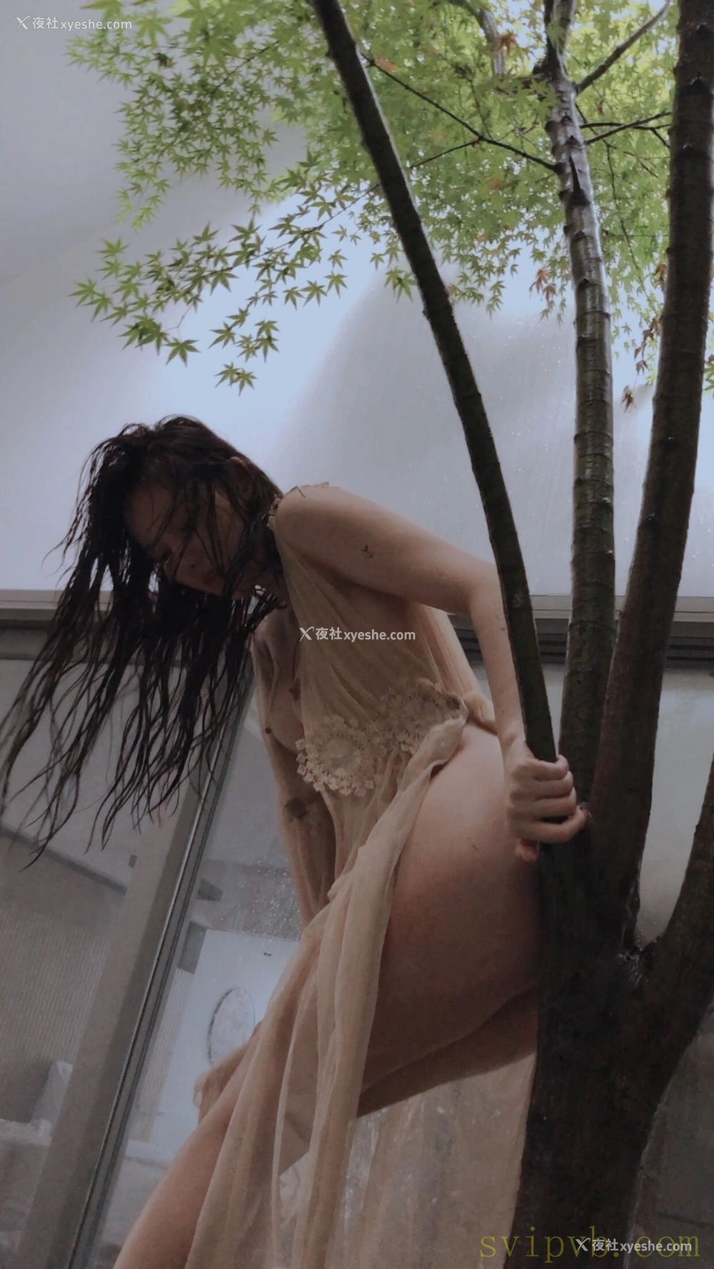 1P - 就是阿朱啊 Instgram 收集