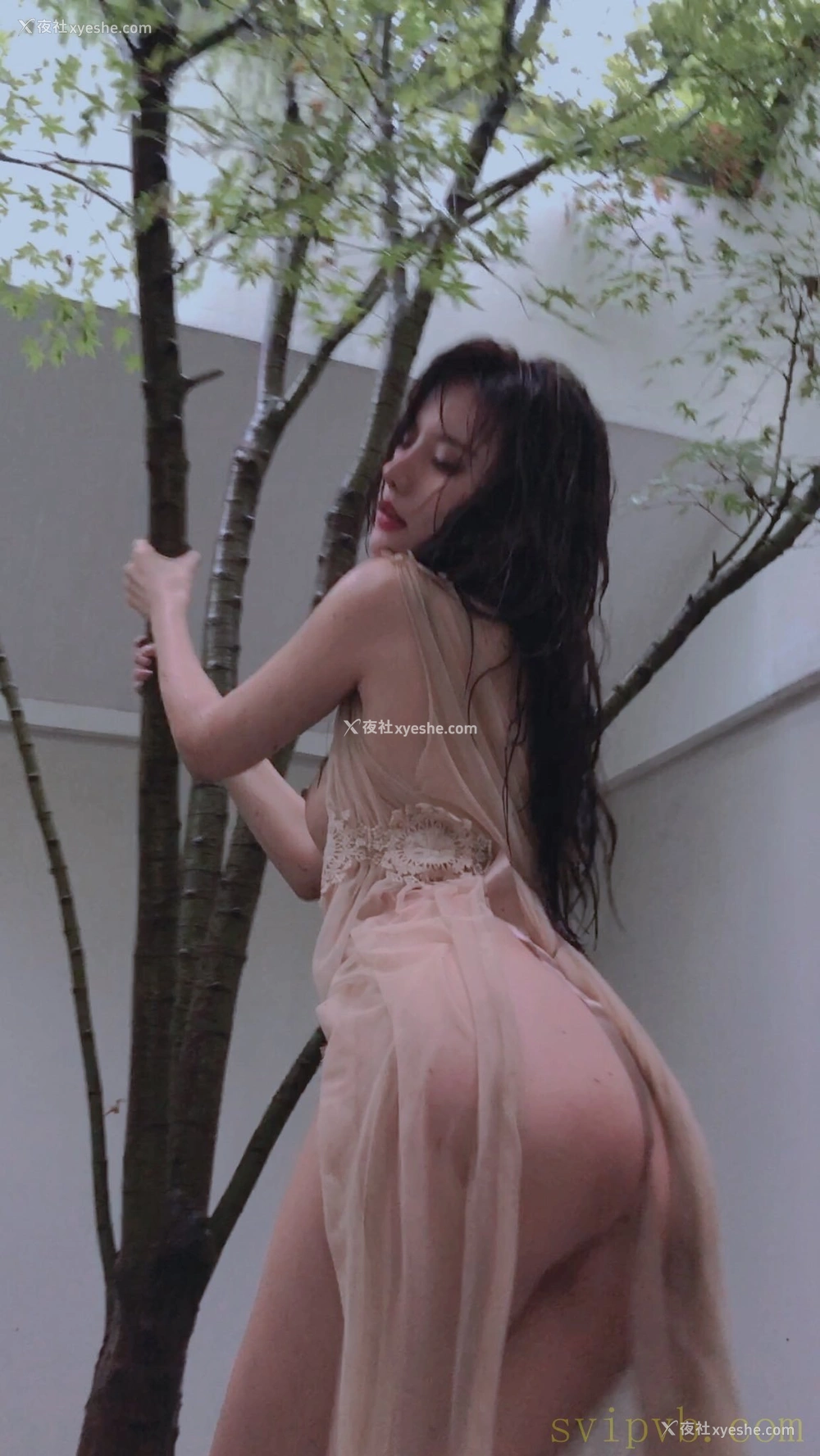 1P - 就是阿朱啊 Instgram 收集