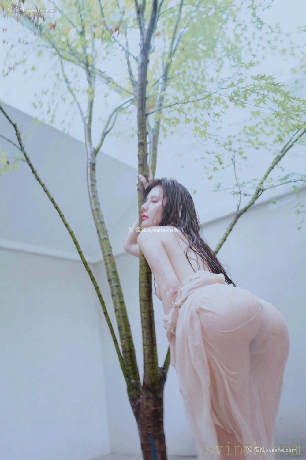 1P - 就是阿朱啊 Instgram 收集