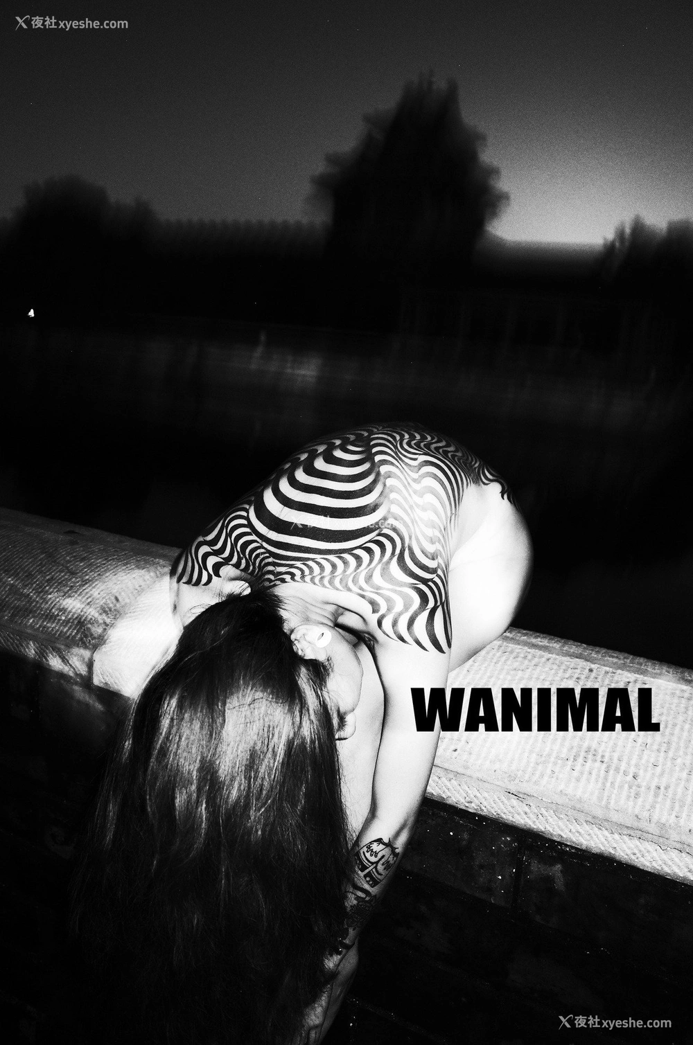 1P - 王动]WANIMAL Tumblr写真第收集